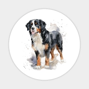 Bernese Mountain Dog Watercolor Style Magnet